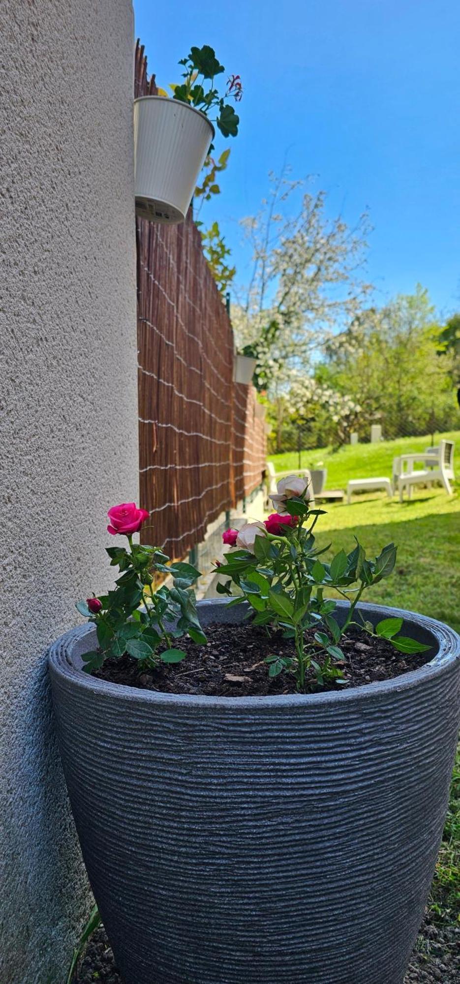 Appartement Lumineux Et Calme En Rez-De-Jardin Castanet-Tolosan Exterior photo
